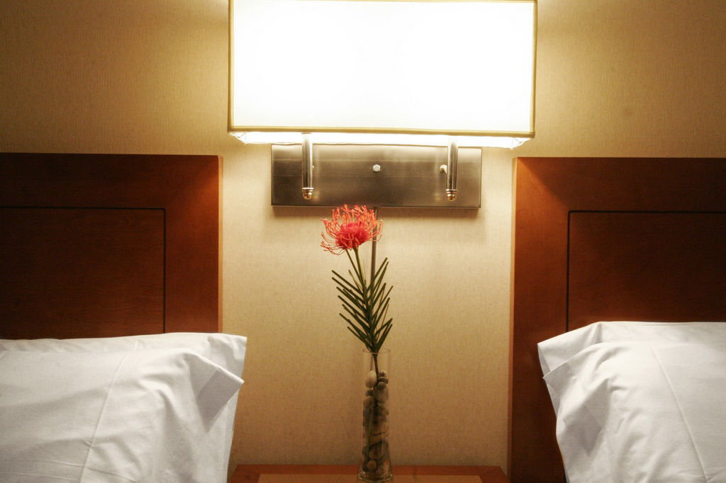 Hotel Sepia Квебек Экстерьер фото
